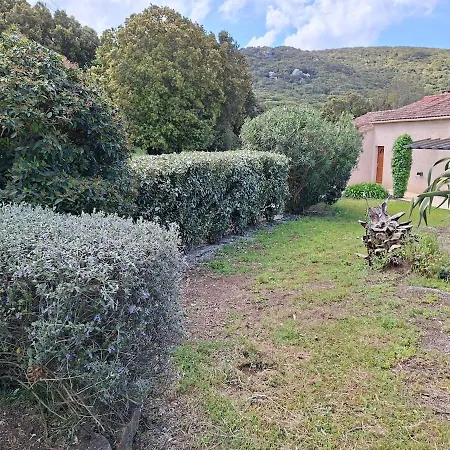 La Salamandre T3 Proche Sartene Propriano Apartment Foce
